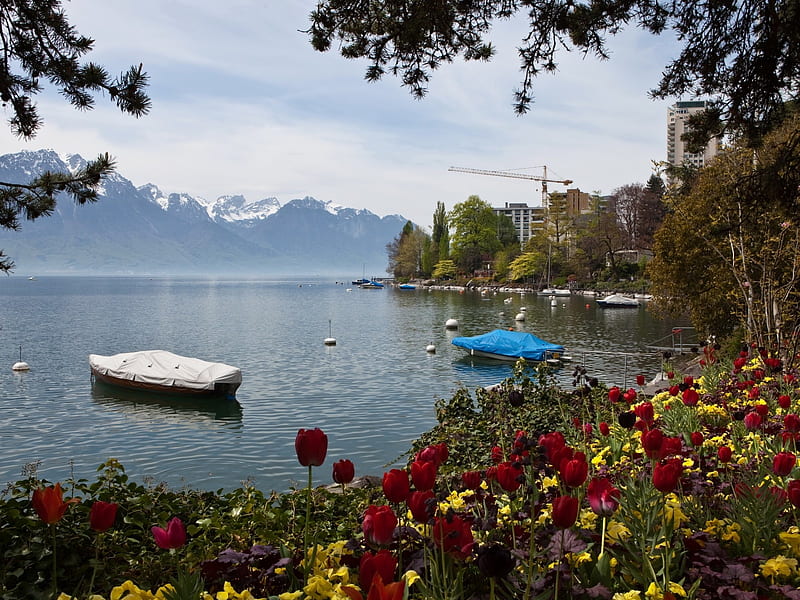 Lake Switzerland, montreux you, mountains, flowers, nature, tulips, trees, lake, HD wallpaper