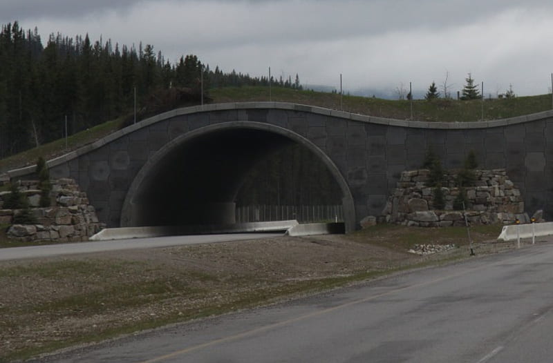 Bridge & tunnel Alberta Banff highway, graphy, Bridges, tunnel, road, trees, HD wallpaper