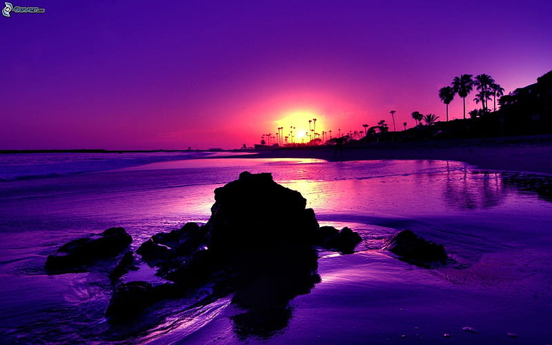 Purple Sunset, rocks, purple, ocean, nature, sunset, trees, HD wallpaper