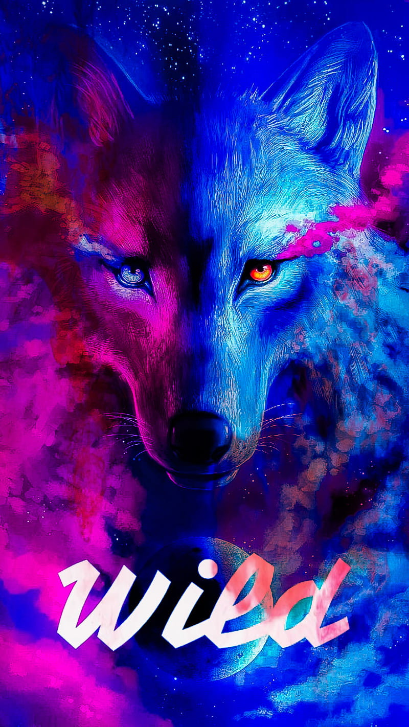 Wild wolf, blue, galaxy, pink, HD phone wallpaper