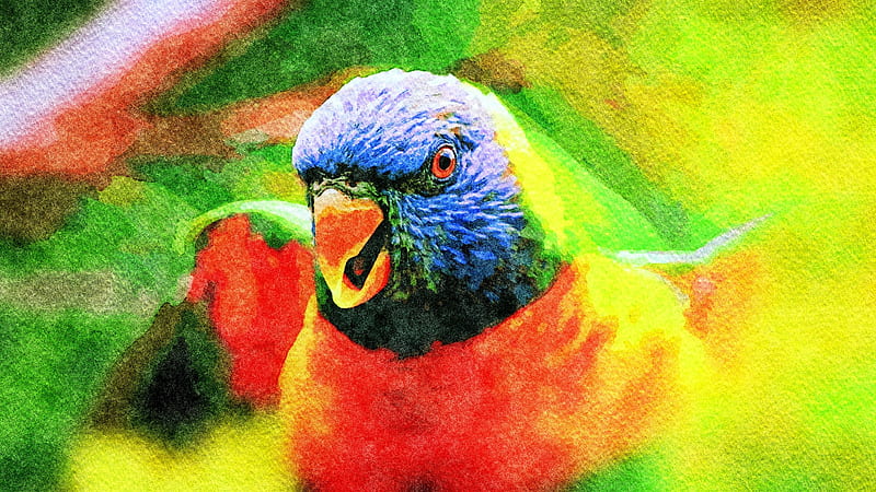 Birds, Rainbow Lorikeet, Artistic, Bird, Parrot, HD wallpaper