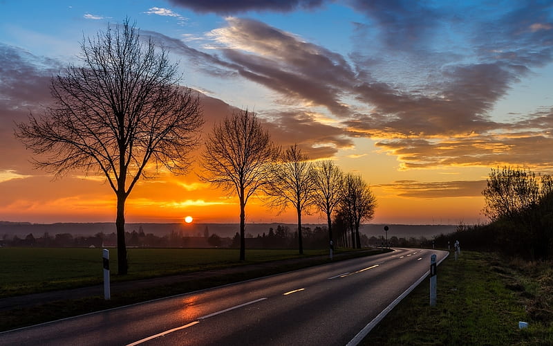 Autumn Road At Sunset, sunset, trees, road, landscape, clouds, HD wallpaper