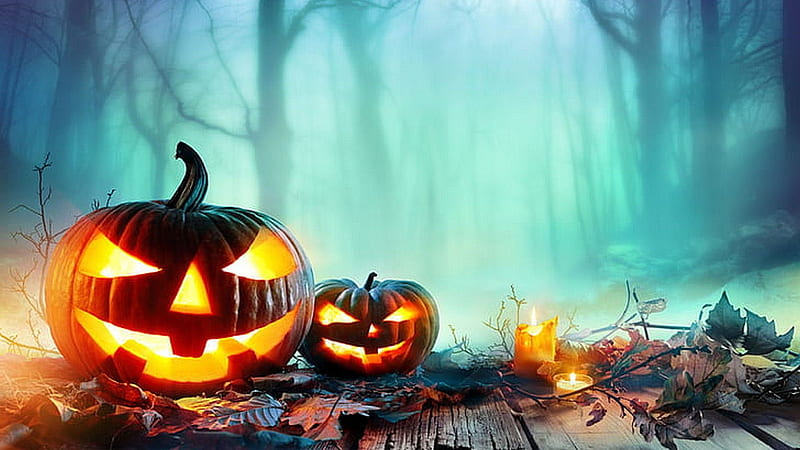 Two Pumpkins Halloween Horrible Face In Forest Background Halloween, HD wallpaper