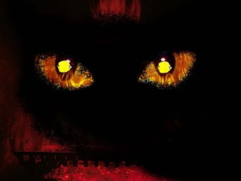 Fiery Cat, fireplace, fire, fireplace grate, black cat, fiery eyes, goldfish pupil, cat, eyes, HD wallpaper