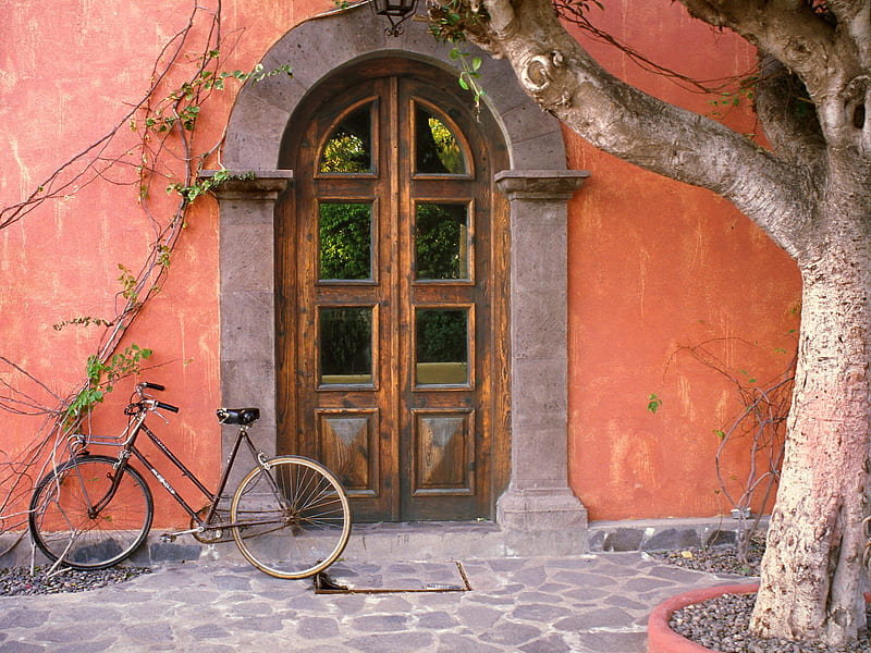 Bicycle in the Doorway, doorway, bicycle, bike, door, HD wallpaper