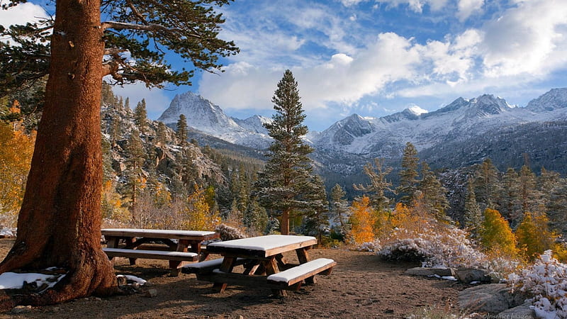 fantastic nature view, forest, picnic tables, mountains, clouds, winter, HD wallpaper