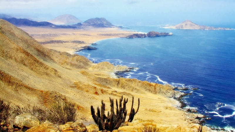 national park beach in chile, beach, cactus, coast, sea, mist, HD wallpaper