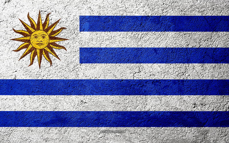 Flag of Uruguay, concrete texture, stone background, Uruguay flag, South America, Uruguay, flags on stone, HD wallpaper