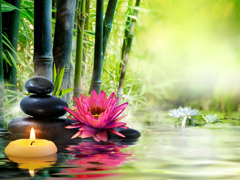 Spa still life, candle, pretty, wet, relax, bamboo, still life, leaves, stones, concept, orchid, spa, flowers, reflection, HD wallpaper