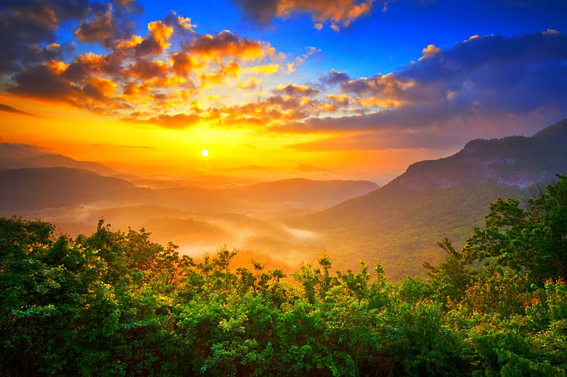 Sunrise At Blue Ridge Mountains, forest, orange, yellow, bonito, trees, sky, clouds, rising sun, green, North Carolina, morning fog, blue, HD wallpaper