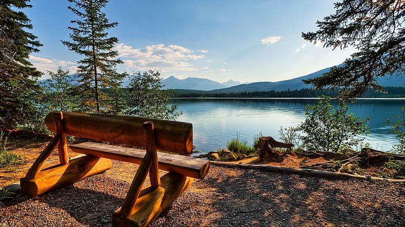 bench ake coast trees-Nature, HD wallpaper