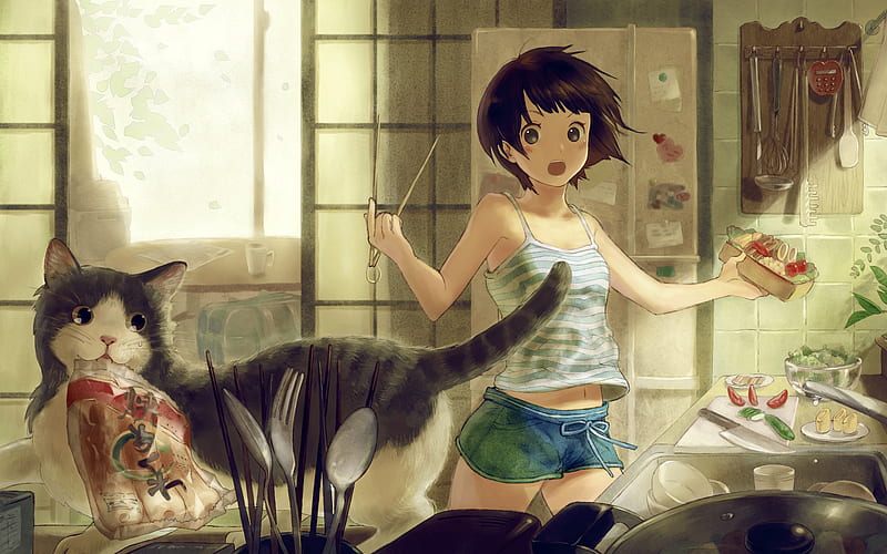 Anime, food, chop sticks, funny, cat, HD wallpaper