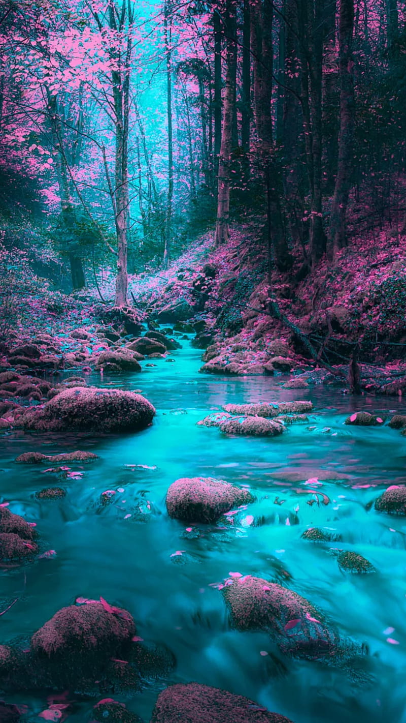 Blue river, forest, nature, pink trees, water, HD phone wallpaper