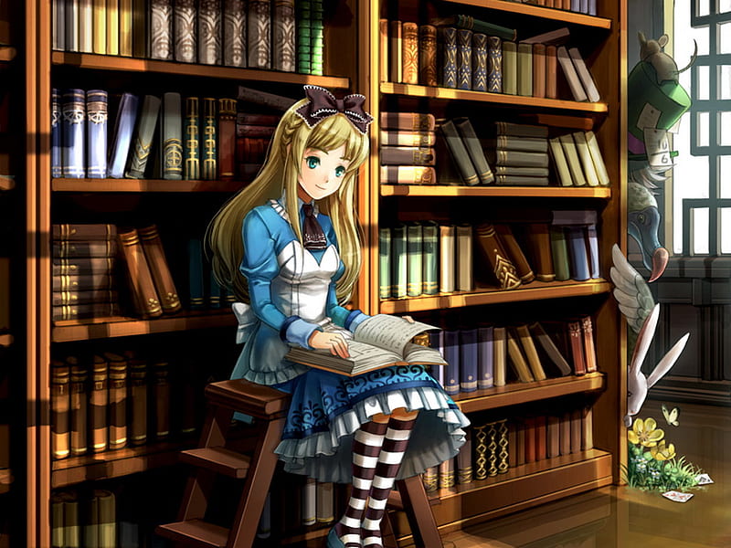 Alice in The Library, books, book, shelf, lolita, read, thighhighs, cute, reading, girl, shelves, stipe, HD wallpaper