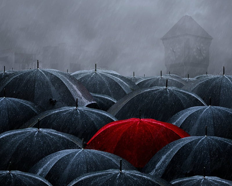 Red umbrella, umbrella, red, gray, fog, HD wallpaper