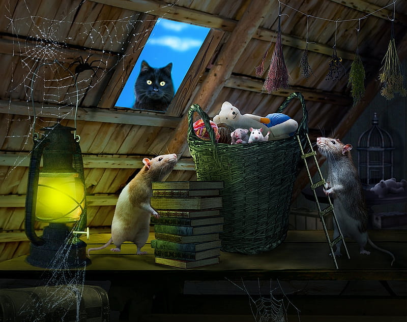 Abandoned attic, lantern, luminos, rats, black, yellow, lubov2001, cat, fantasy, mouse, pisica, attic, blue, HD wallpaper