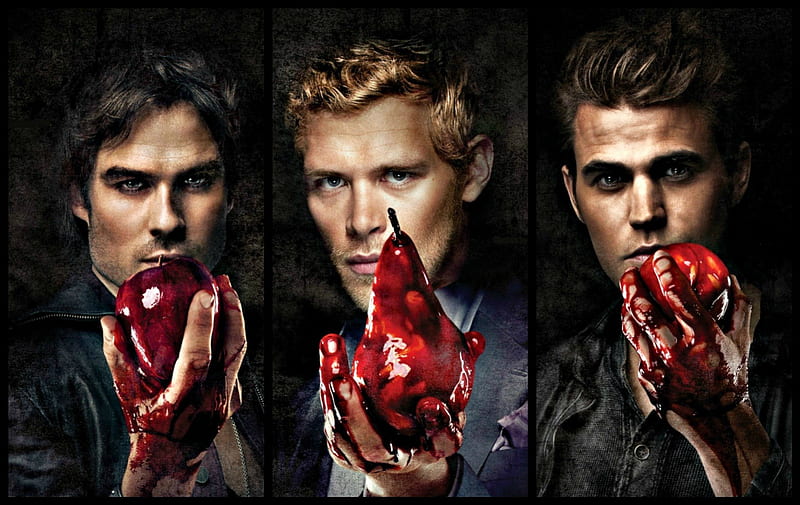 Damon, Klaus, The vampire diaries💗  Vampire diaries guys, Vampire  diaries, Vampire diaries damon