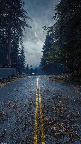 Days gone, open road, open world game, ps4 game, road, HD phone wallpaper