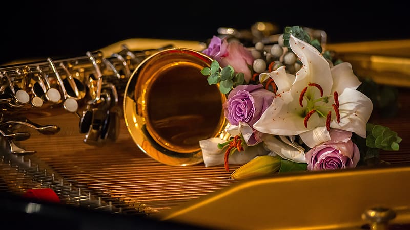 Music, Flower, Rose, Bouquet, Trumpet, Lily, Instrument, HD wallpaper