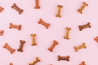 Bone seamless pattern Background with dog  Stock Illustration  90091468  PIXTA