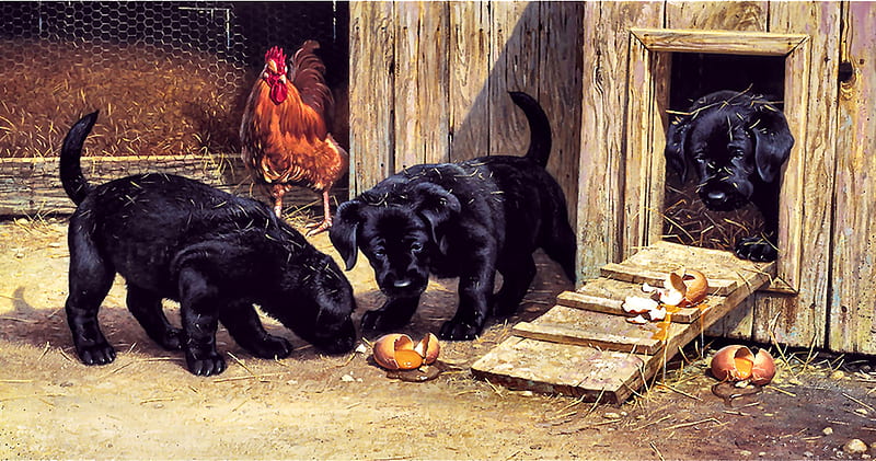 Mischief Makers F, broken eggs, rooster, art, bonito, pets, artwork, canine, animal, puppies, painting, wide screen, dogs, HD wallpaper