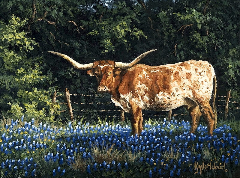 Longhorn texas Wall Mural  Buy online at Europosters