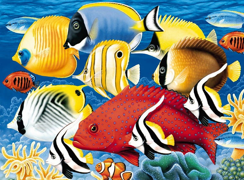 Coral reef, seashells, colorful, reef, lovely, fish, ocean, coral, bonito, sea, water, deep, aqua, fish tank, HD wallpaper