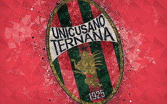 Ternana Calcio Italian Italy Football Club EMBROIDERED Patch 