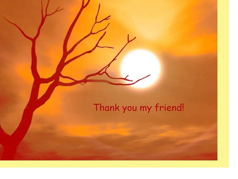 Thank you my friend, orange, 3d and cg, words, trees, abstract, sky, yellow and red, message, friendship, sunsets, thank you card, HD wallpaper