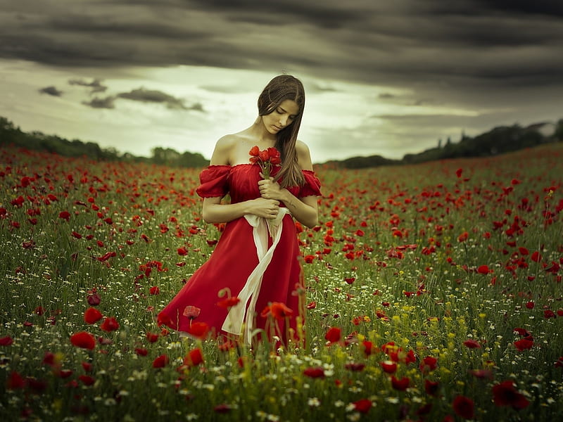 Beauty, brunette, red dress, girl, model, flowers, field, HD wallpaper