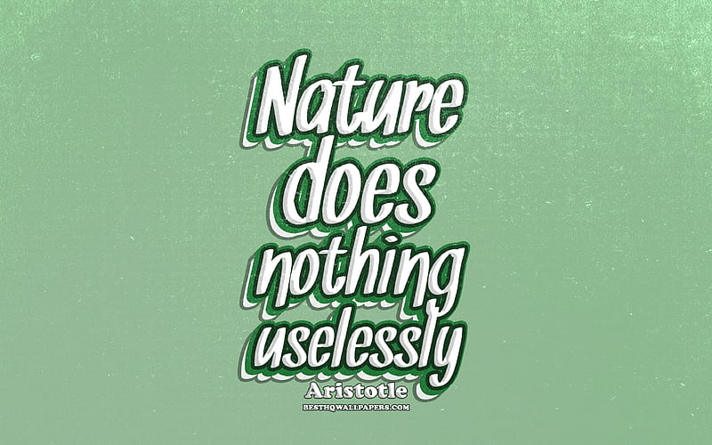 Nature does nothing uselessly, typography, quotes about nature, Aristotle, popular quotes, green retro background, inspiration, HD wallpaper