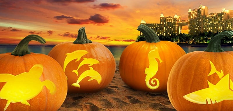 Halloween in the Bahamas, resort, ocean, Bahamas, sunset, clouds, beach, shark, sand, water, seahorse, dolphins, Paradise Island, Atlantis, pumpkins, HD wallpaper