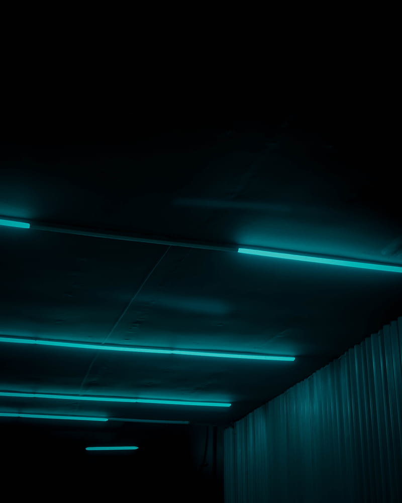 neon, light, lamps, darkness, HD phone wallpaper