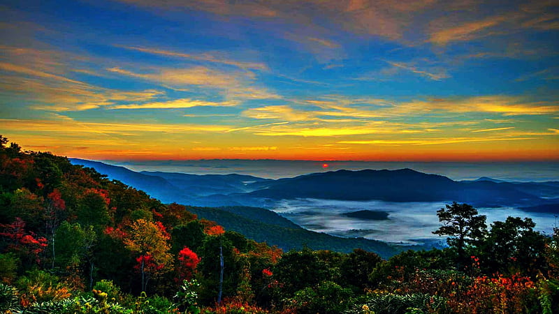Sunrise overlook on Blue Ridge Parkway in North Carolina, landscape, colors, clouds, sky, mountains, usa, hills, fog, autumn, trees, HD wallpaper