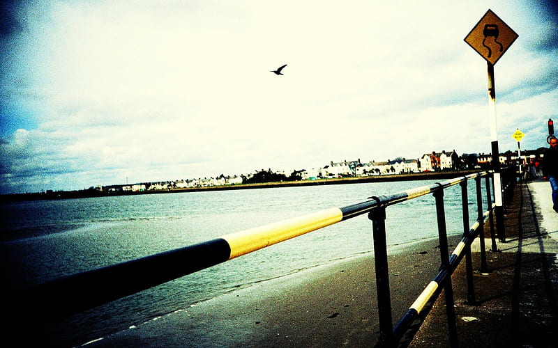 Seagull Flying - Lomo style - Lomo with the film, HD wallpaper