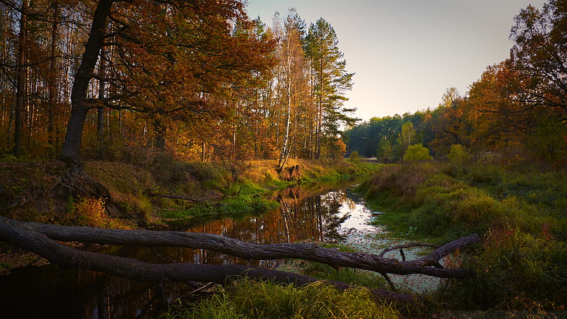 river, trees, autumn, landscape, HD wallpaper