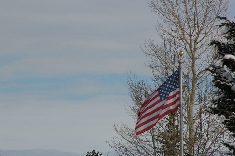 Flag flying in Teton Village, Wyoming, Trees, Sky, Clouds, Scenic, Flag, Snow, Winter, HD wallpaper