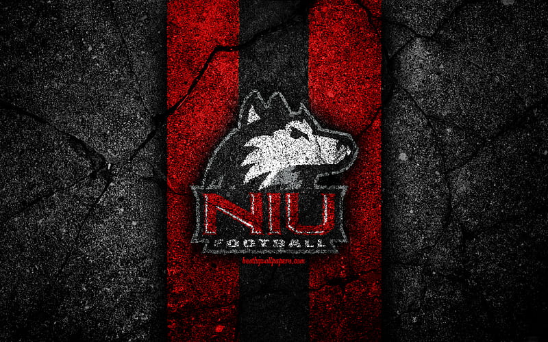 Northern Illinois Huskies american football team, NCAA, red black stone, USA, asphalt texture, american football, Northern Illinois Huskies logo, HD wallpaper