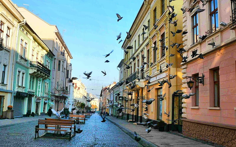 Street with Pigeons, Russia, houses, pigeons, streetscape, street, HD wallpaper