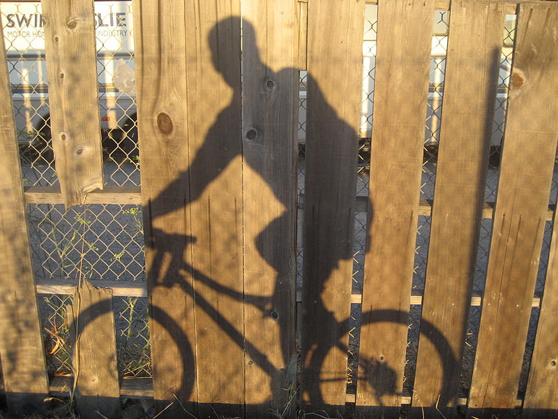 Shadow Biking Marin county, marin, biking, stevoway, cali, bicycle, corta madera, marin county, HD wallpaper