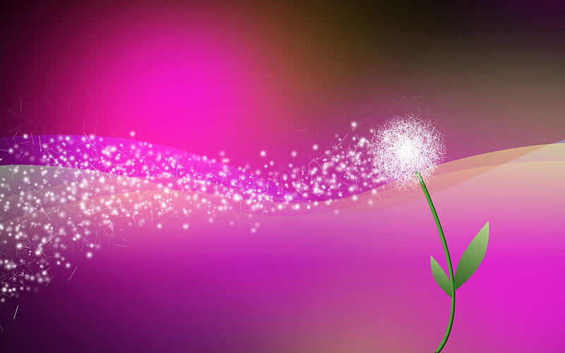 Wishes, dandelion, green, texture, white, pink, vector, HD wallpaper