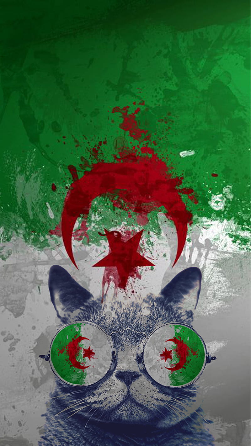 Algeria, cat, logo, HD phone wallpaper