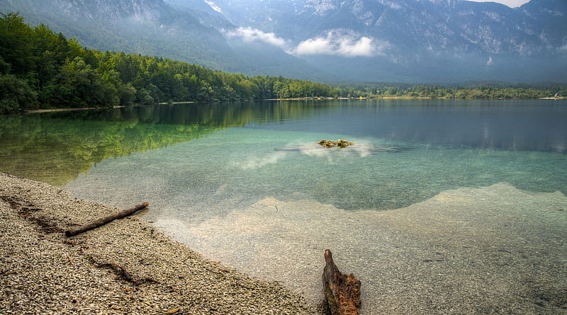 Beautiful lake bohinj in slovenia, mountain, forest, shore, clear ...