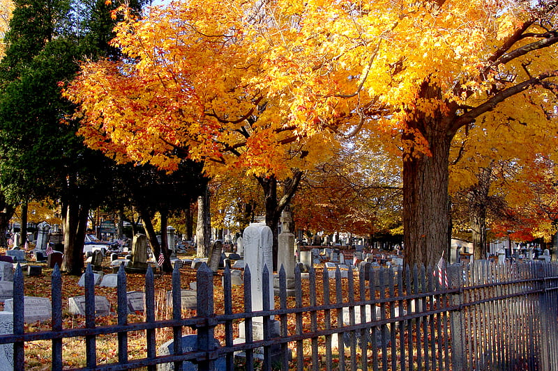 Autumn in the Cemetary, fall, autumn, graves, leaves, graphy, beauty, cemetary, HD wallpaper