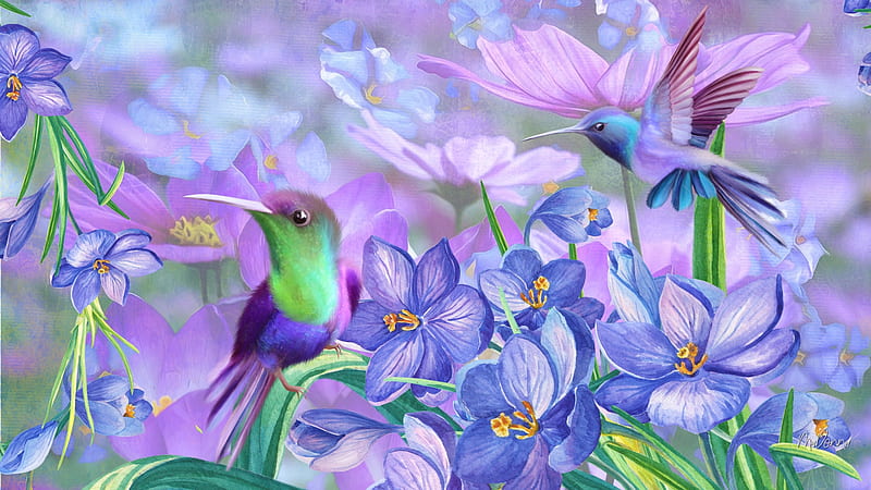 Exquisite Hummingbirds, Firefox theme, purple, hummingbirds, summer, birds, flowers, garden, spring, HD wallpaper