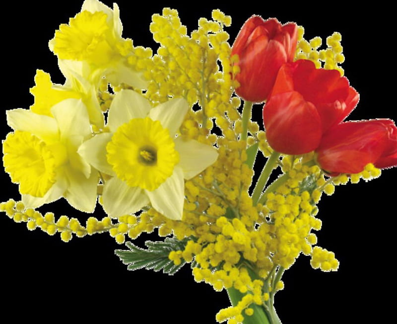 Red Tulips,Mimosa,Daffodils(Bouquet), daffodils, bouqets, flowers, tulips, mimosa, Nature, HD wallpaper