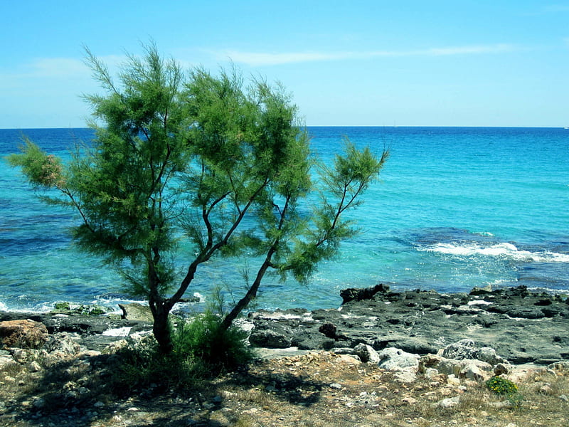 Gummi velgørenhed effektivitet Cala Millor Mallorca, nature, sky, beaches, ocean, HD wallpaper | Peakpx