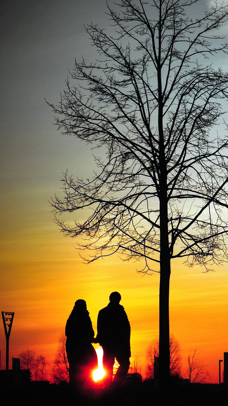 Silhouettes Couple , sunset, walk, tree, HD phone wallpaper