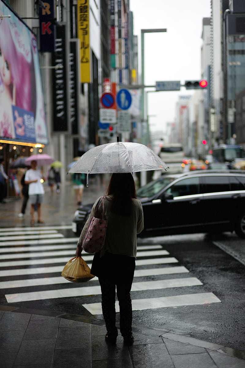 woman holding umbrella standing on pedestal lane, HD phone wallpaper