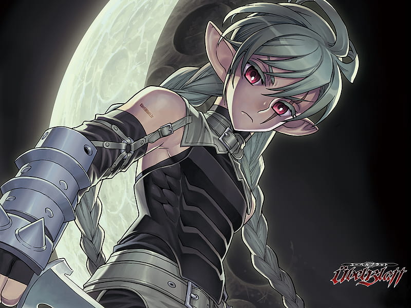 Top 30 Best Anime Elves and Elf Characters Of All Time | Wealth of Geeks